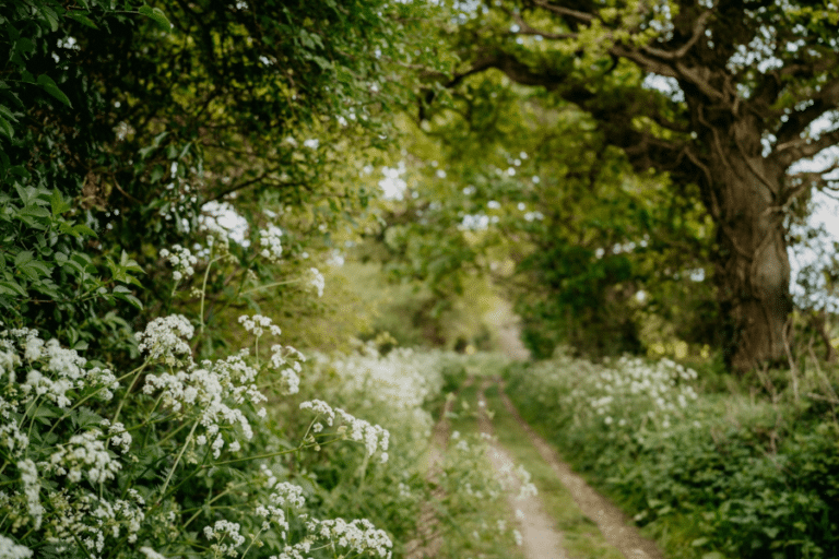 Made in England Artisan Founder Directory