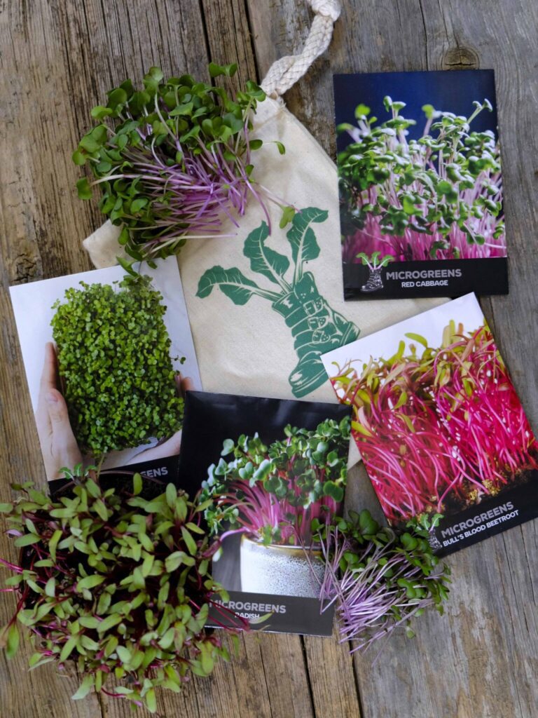 Microgreens Seeds Gift Bundle